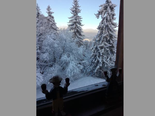 Location vacances SAINT GERVAIS LE BETTEX - photo n°2 annonce M1307400