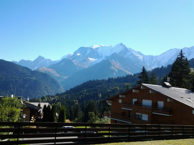 photo n°2