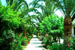 Location vacances TINDARI - photo n°3 annonce P0909901