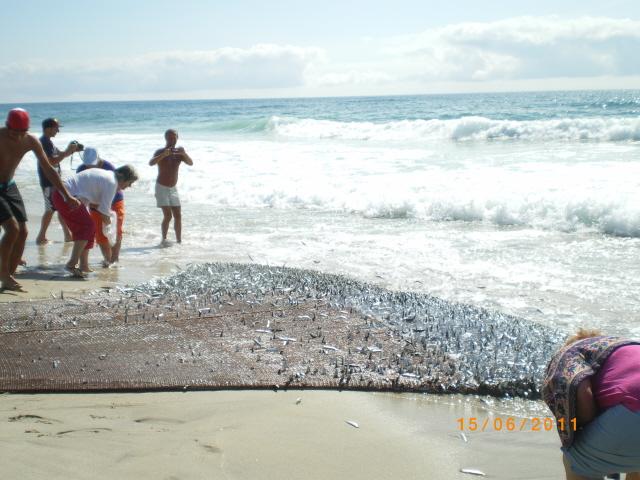 Photo n°8 location Appartement de vacances à PONTE DE VAGOS (annonce réf. C1219901)