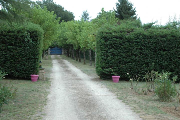 Photo 7 - Maison 2 personnes à JONZAC