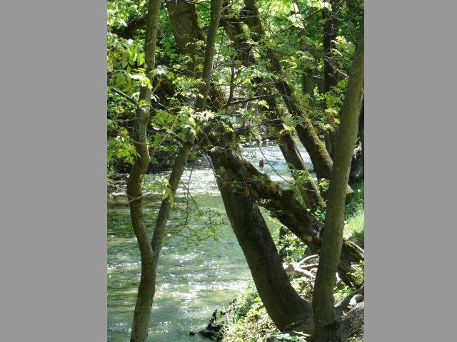 Location vacances ANCELLE - photo n°12 annonce M1910500
