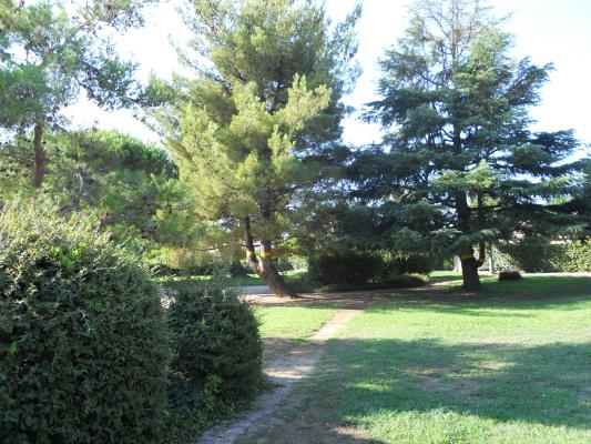 photo n°2