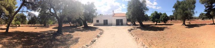 Photo 4 - Villa 10 personnes à CAROVIGNO