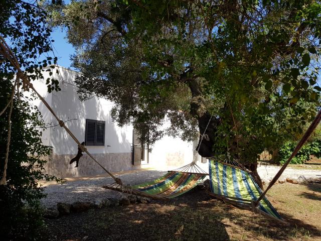 Photo 5 - Villa 10 personnes à CAROVIGNO