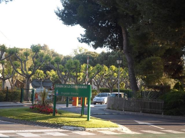 photo n°5