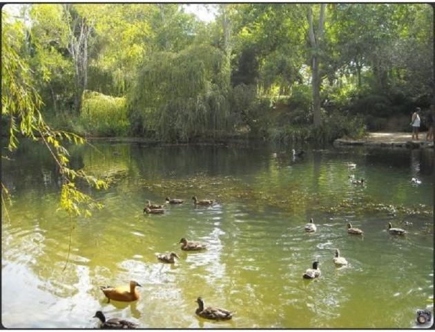photo n°6