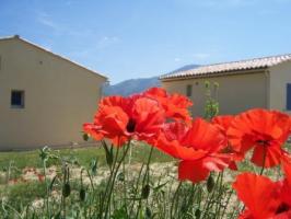 Photo 4 - Villa 4 personnes à MALAUCÈNE