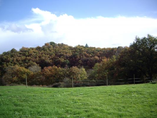 Photo 8 - Gîte 4 personnes à CHÂTEAU GUIBERT