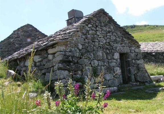 Photo 1 - Gîte 14 personnes à SAINT JACQUES DES BLATS
