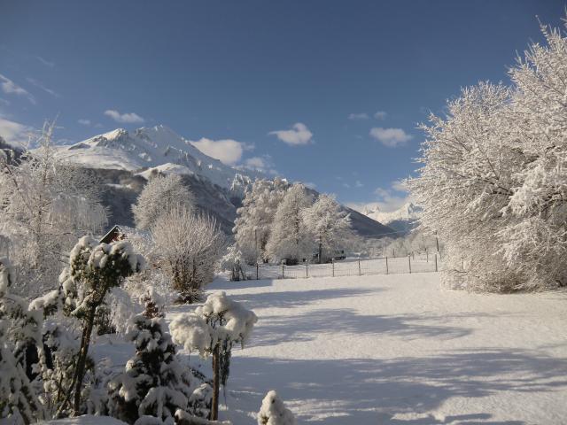 photo n°8
