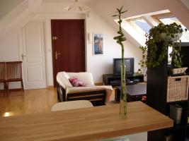 Photo 2 - Appartement 4 personnes à SABLES D'OR LES PINS