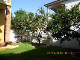 Location vacances TORTOLI - photo n°2 annonce P1029901