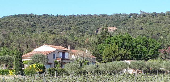 Photo 10 - Appartement 3 personnes à GRIMAUD