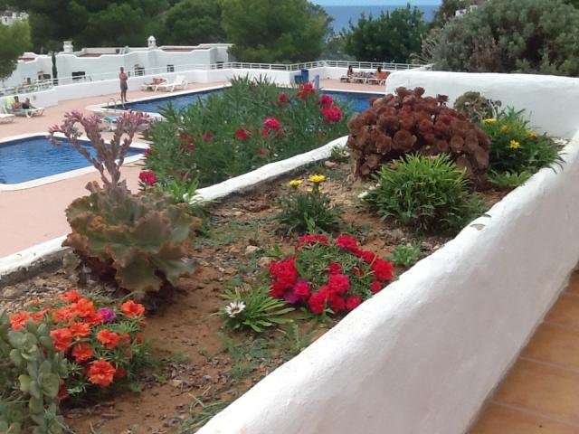 Photo 5 - Appartement 5 personnes à EIVISSA