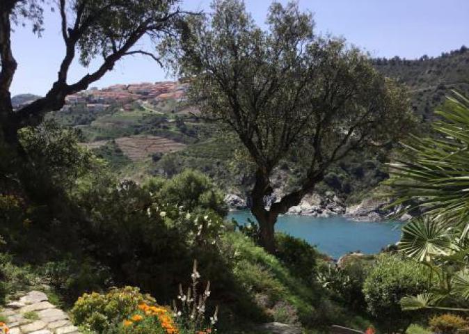 Photo n°1 location Gîte de vacances à CERBÈRE (annonce réf. P3126601)