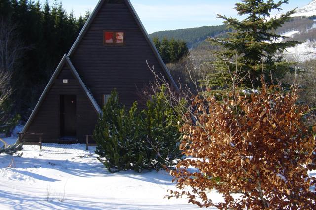 Photo 1 - Chalet 6 personnes à SUPER BESSE