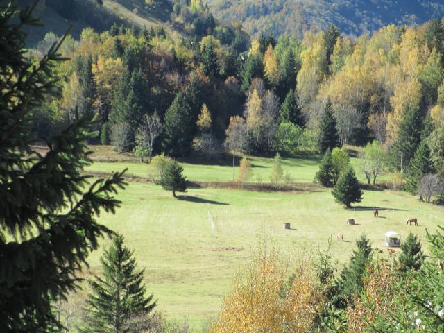 Photo 1 - Appartement 4 personnes à ALPE DU GRAND SERRE