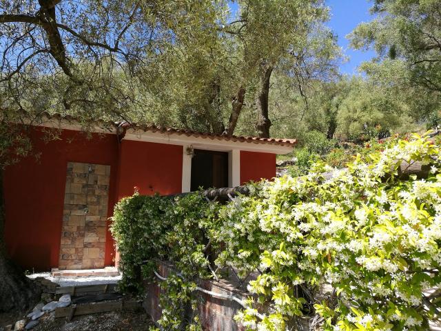 photo n°10