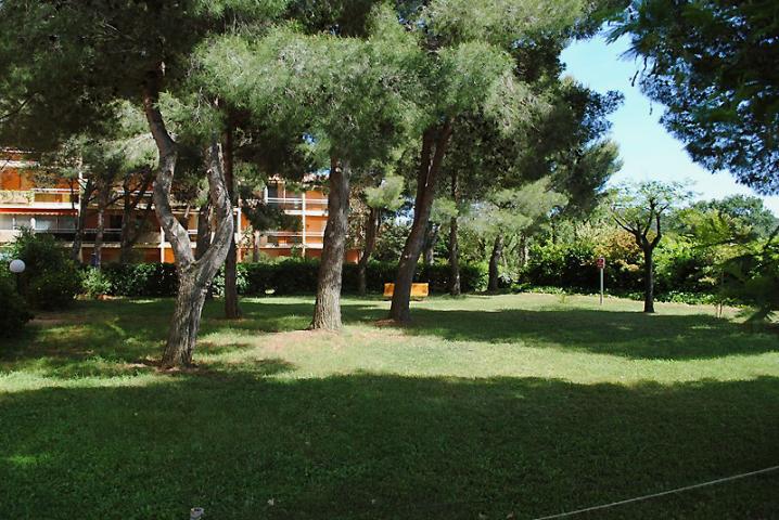 photo n°1