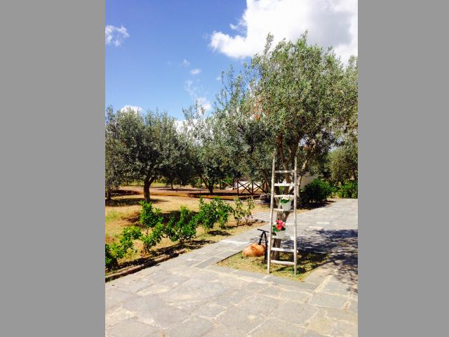 Location vacances SCORDIA - photo n°7 annonce P1939900