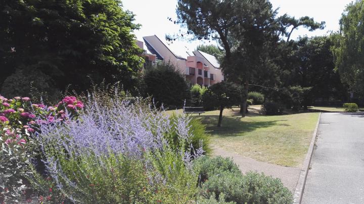 photo n°1