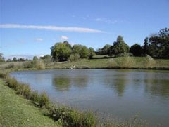 Photo 2 - Gîte 6 personnes à BRESSUIRE