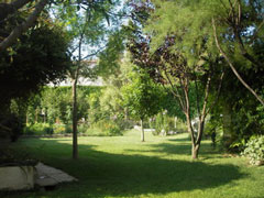 Photo 4 - Villa 7 personnes à PARIGNARGUES