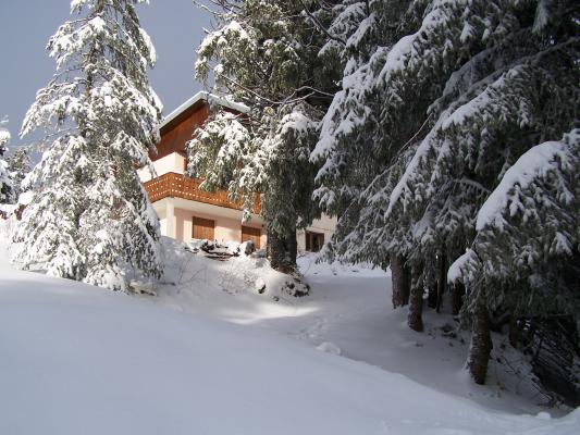 Photo 1 - Chalet 5 personnes à LE REVARD