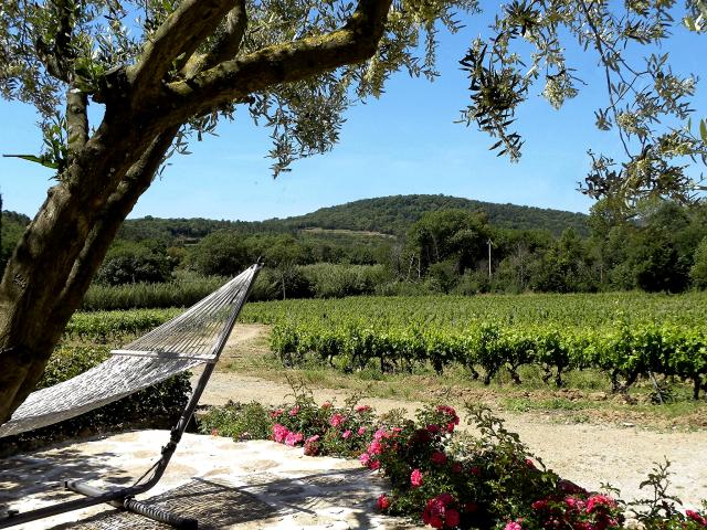 Photo 8 - Gîte 2 personnes à GRIMAUD