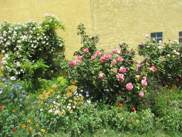 Photo 10 - Gîte 6 personnes à SALON DE PROVENCE