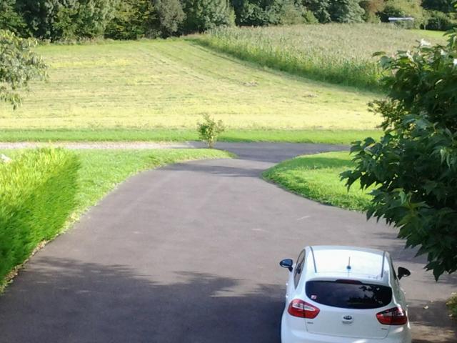 Photo 8 - Gîte 4 personnes à SAINT PÉE SUR NIVELLE