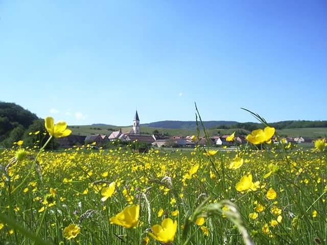 Location vacances NOTHALTEN - photo n°11 annonce C2456700