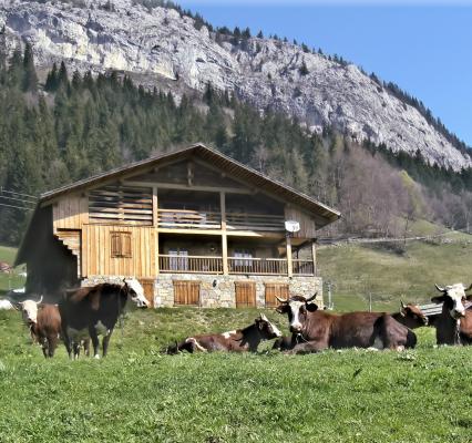 Photo 1 - Appartement 4 personnes à LE GRAND BORNAND