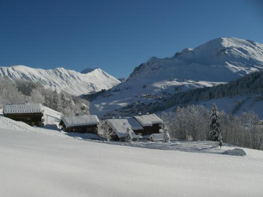 Photo 7 - Appartement 4 personnes à LE GRAND BORNAND