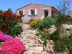 Photo 1 - Villa 4 personnes à PORTO VECCHIO