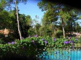 Photo 1 - Villa 5 personnes à PRADES LE LEZ