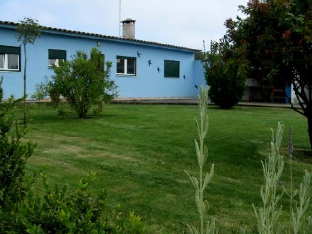 Location vacances PRAIA DA VIEIRA - photo n°2 annonce P1359902