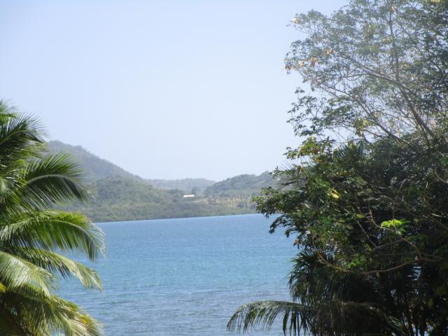 Location vacances FORT DE FRANCE - photo n°8 annonce C1969700