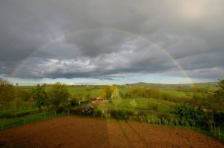 Location vacances TAURIAC DE NAUCELLE - photo n°11 annonce C2061200