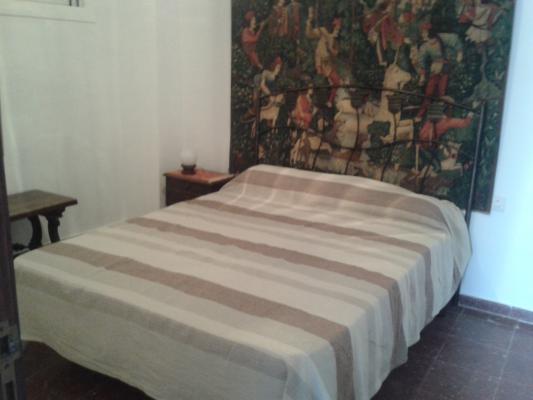 photo n°6