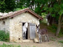 Photo 5 - Ferme 8 personnes à EYMET