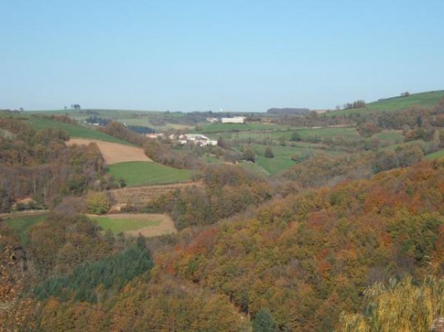 Photo 12 - Gîte 2 personnes à COUPIAC