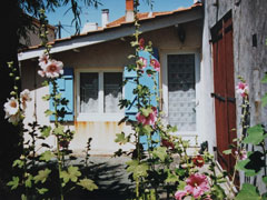 Photo 1 - Maison 6 personnes à SAINT PIERRE D'OLÉRON