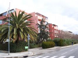 Photo 1 - Appartement 3 personnes à LE LAVANDOU