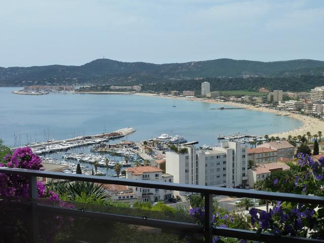 photo n°1