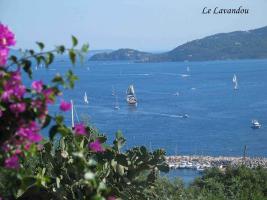 Location vacances LE LAVANDOU - photo n°3 annonce P1078300