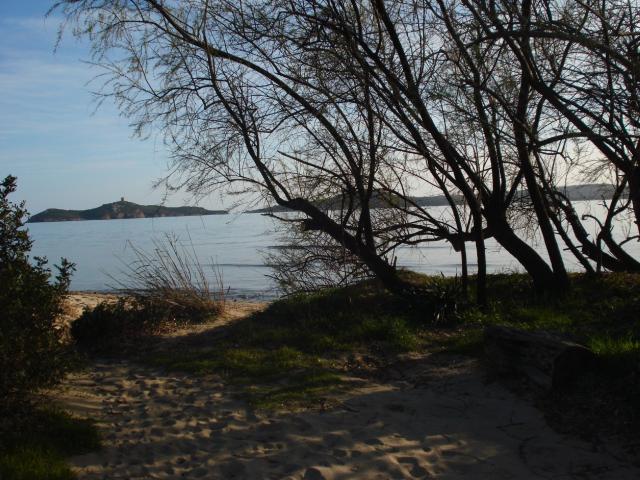 photo n°1