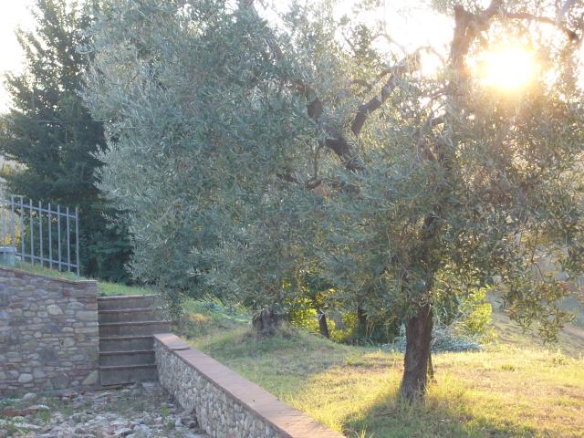 Photo 10 - Maison 4 personnes à MONTESPERTOLI