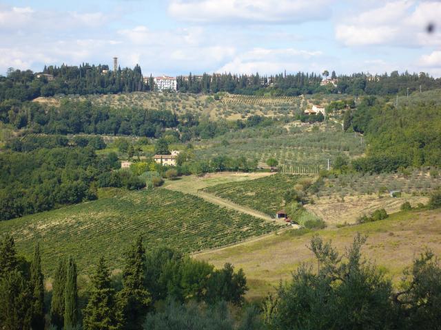 Location vacances MONTESPERTOLI - photo n°11 annonce C0989900